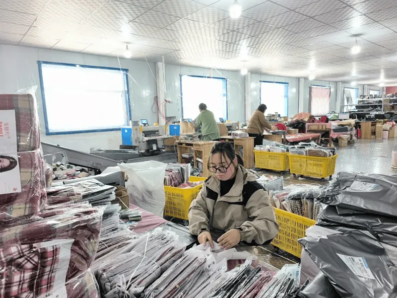 news4 (8)
